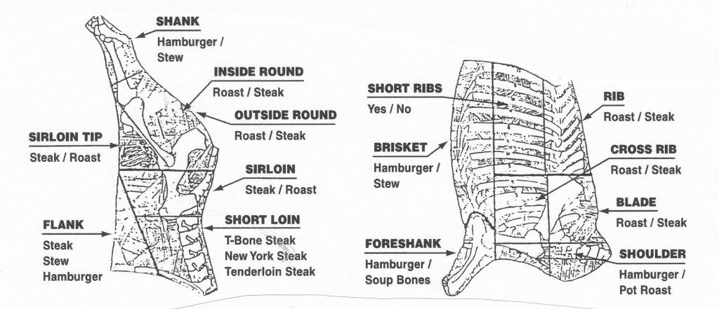 SF Cut Diagram